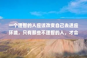 一个理智的人应该改变自己去适应环境，只有那些不理智的人，才会想去改变环境适应自己。但历史是后一种人创造的