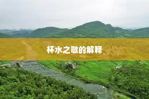杯水之敬的解释