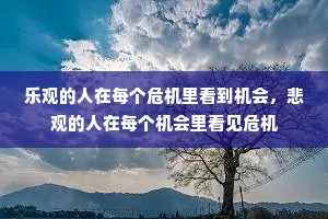 乐观的人在每个危机里看到机会，悲观的人在每个机会里看见危机