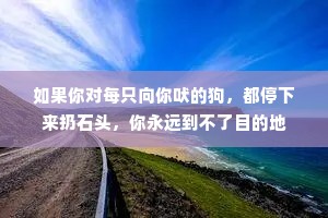 如果你对每只向你吠的狗，都停下来扔石头，你永远到不了目的地