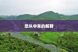 悲从中来的解释