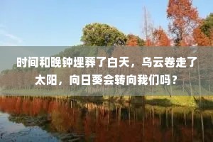 时间和晚钟埋葬了白天，乌云卷走了太阳，向日葵会转向我们吗？
