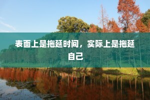 表面上是拖延时间，实际上是拖延自己