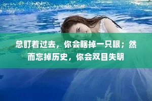 总盯着过去，你会瞎掉一只眼；然而忘掉历史，你会双目失明