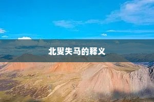 北叟失马的释义