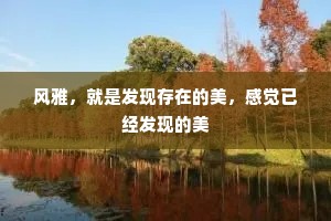 风雅，就是发现存在的美，感觉已经发现的美