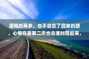 酒喝的再多，也不会忘了回家的路，心情在差第二天也会准时爬起来，如果你问我是什么样的人，回答不了了。半生已过，尽力了太多，改变了性格，学会了沉默。