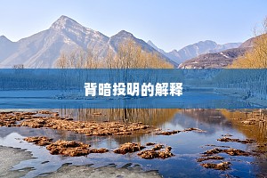 背暗投明的解释