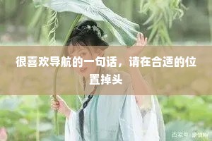 很喜欢导航的一句话，请在合适的位置掉头
