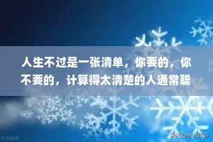人生不过是一张清单，你要的，你不要的，计算得太清楚的人通常聪明无比，但，换来的却是烦恼无数和辛苦一场