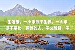 生活累，一小半源于生存，一大半源于攀比。懂我的人，不必解释。不懂我的人，何必解释
