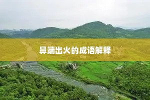 鼻端出火的成语解释