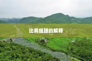 比肩继踵的解释
