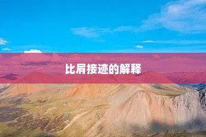 比肩接迹的解释