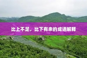 比上不足，比下有余的成语解释