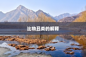 比物丑类的解释