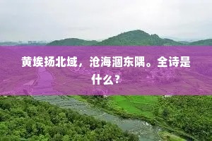 风声入树猿应语，鹤影横江人未眠。的释义