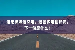 王将托一国，自驾请先生。的释义