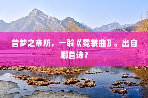 引言，情感的盲区与孤独的共鸣
