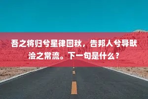 谠言直声的释义