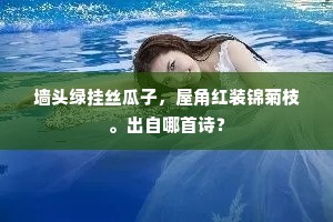 奇文振岩穴，丽藻发林泉。上一句是什么？