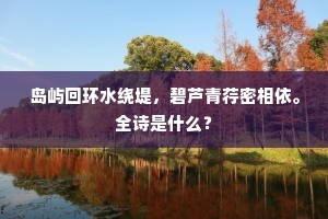 瞬息未来，永恒当下的哲思之旅