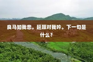 真朋友，怜悯之外，是援手的温度