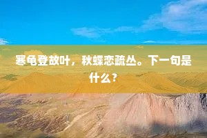 绝境非墙，心界无垠，破茧成蝶的勇者之路