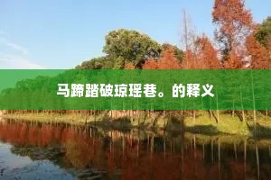 晨光之躯与夜幕之魂，平衡生活的艺术