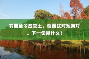 良守初分岳，嘉声即润河。下一句是什么？