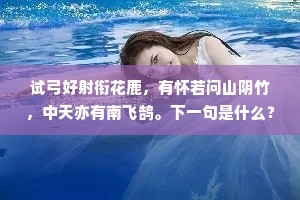 表象群聚下的灵魂独白，孤独，是合群的另一面