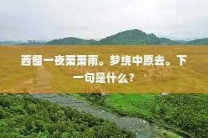 引言，泪海深处，共鸣的涟漪