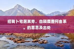 梦影交错间，岁月轻吟，愿生活如电影，跃过多年以后