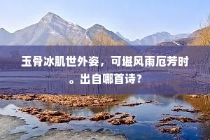 鹦鹉无言初病瘴，丁香不结又经春。出自哪首诗？