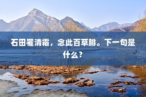 日边华构开金刹，海上孤峰见赤城。上一句是什么？