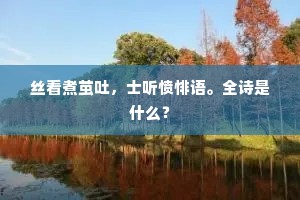 引言，静默离别的悖论