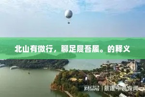 得意忘言的成语解释