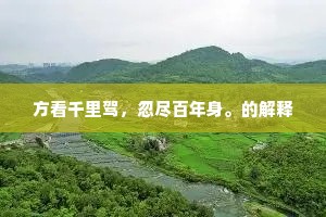 盐宗祠石小香岩，迢递朱阑映碧杉。的解释