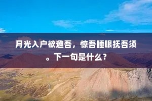 磷磷石岸上，浓淡树林分。的释义