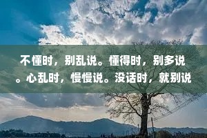 不懂时，别乱说。懂得时，别多说。心乱时，慢慢说。没话时，就别说。问心无愧，是人生最舒服的枕头