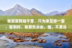 我愿意跨越千里，只为来见你一面，临别时，我要告诉你，嘘，不要说再见，我们等会见，也许还能一起喝下午茶
