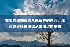 如果你想拥有你从未有过的东西，那么你必须去做你从未做过的事情