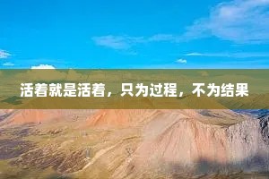活着就是活着，只为过程，不为结果