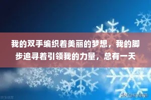 我的双手编织着美丽的梦想，我的脚步追寻着引领我的力量，总有一天梦想会成真