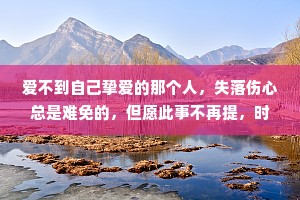 爱不到自己挚爱的那个人，失落伤心总是难免的，但愿此事不再提，时间过了一切都会更好