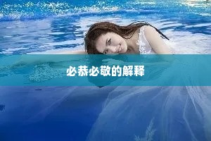 必恭必敬的解释