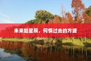 未来如星辰，何惧过去的方塘