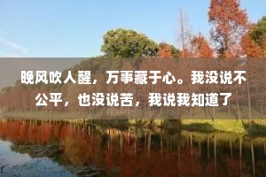晚风吹人醒，万事藏于心。我没说不公平，也没说苦，我说我知道了
