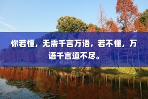 你若懂，无需千言万语，若不懂，万语千言道不尽。