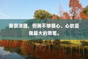 我很清醒，但我不够狠心，心软是我最大的败笔。